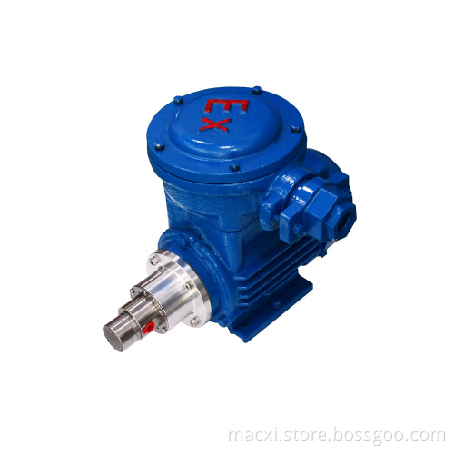 Explosion Proof drive micro delivery Metering pump